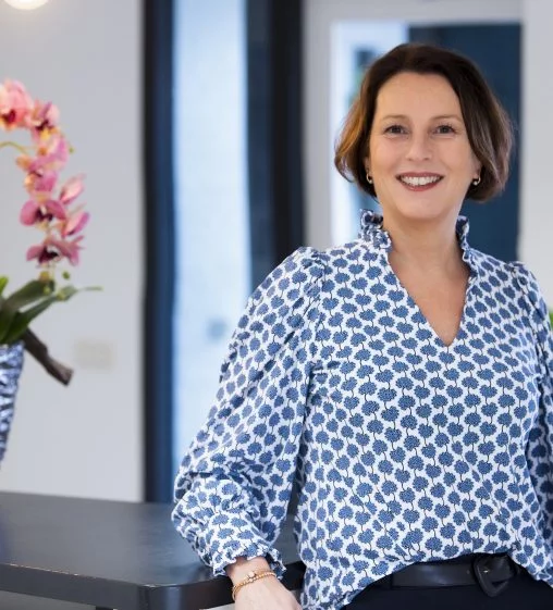 De drie elementen van een organisatiesysteem