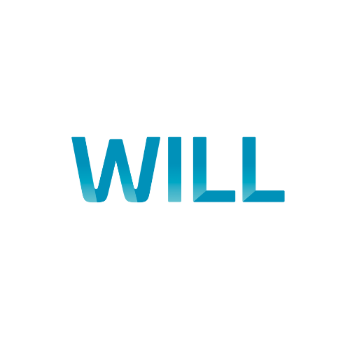 loopbaanbegeleiding, will academie