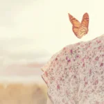 loopbaan referentie Marjolein Schadé