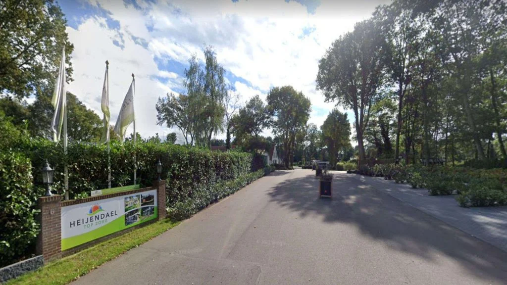 Loopbaan referentie José van Aaken