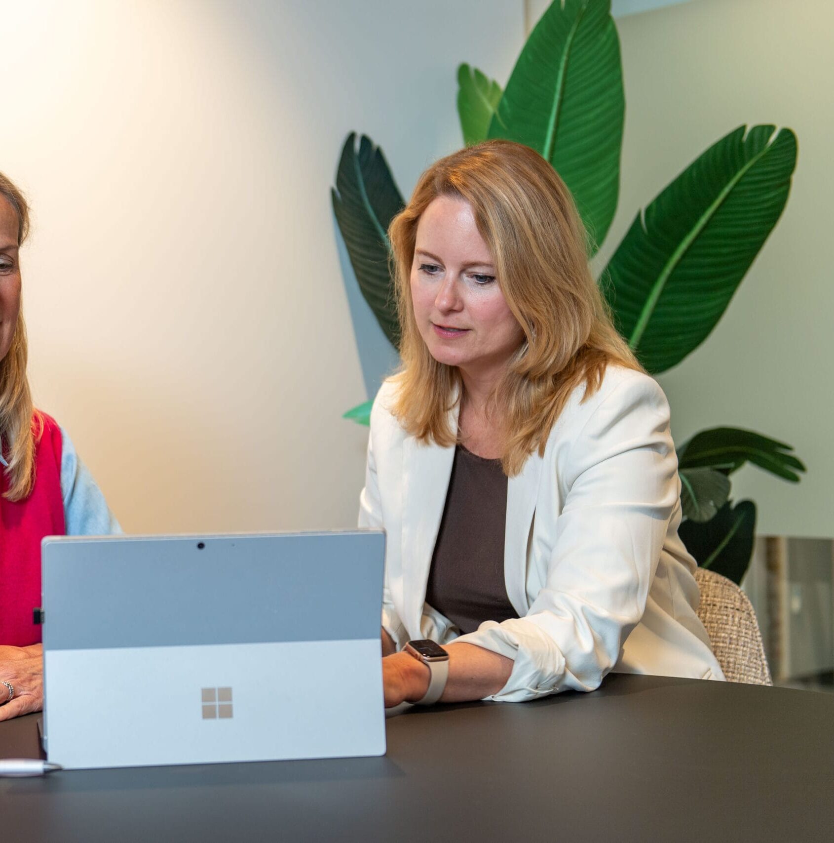 loopbaanbegeleiding, loopbaanscan