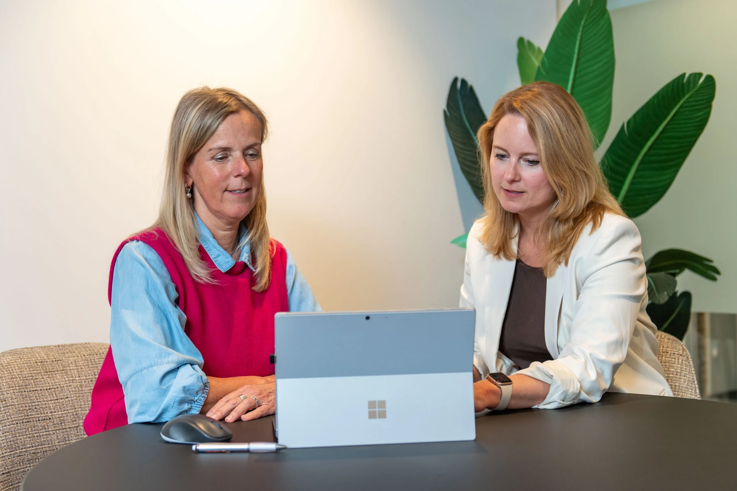 loopbaanbegeleiding, loopbaanscan